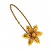 花落精绝.png