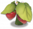 果冻草莓.png
