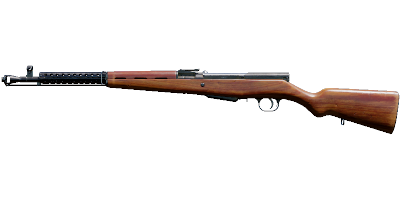 SKS-31.png