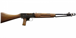 Krieghoff fg gun.png