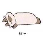 躺平.jpg