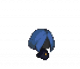 斯卡迪.png