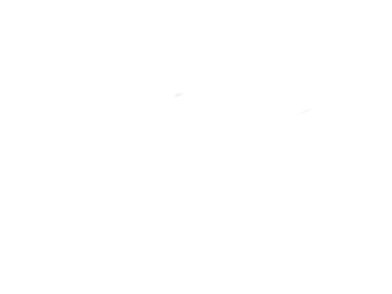 Blank.png
