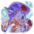 16325.png
