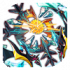 16262.png