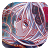 5255.png