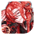 17040.png