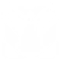 扩大芯片icon.png