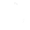 扰敌强袭.png