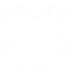 心智扰乱.png