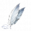 纯白片羽.png