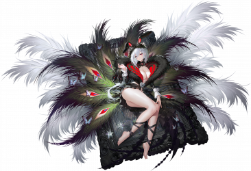 绚羽风华.png