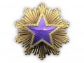 Service medal 2016 lvl4 png.png