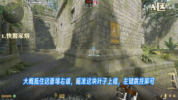 快警家烟演示视频动图