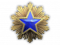 Service medal 2016 lvl3 png.png