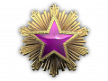 Service medal 2016 lvl5 png.png