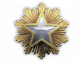 Service medal 2016 lvl1 png.png