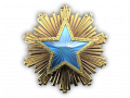 Service medal 2016 lvl2 png.png