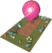 Hot Air Balloon Tours.png