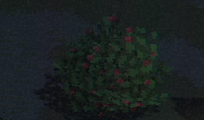 浆果丛.png