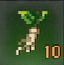 老山参.png