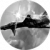 Avatar-PrideCr0w.png