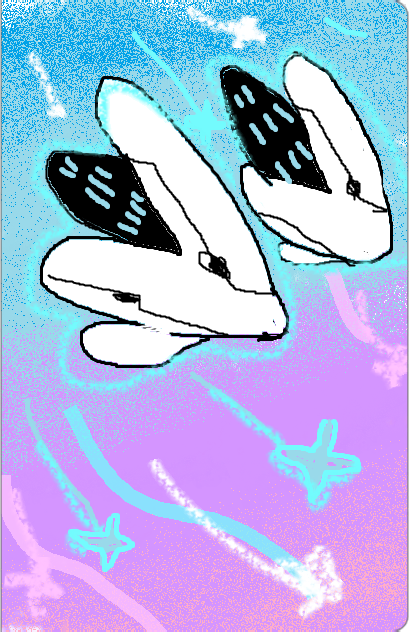 1 1