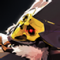 Icon tp skill 1049.png