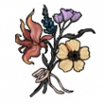 Icon item gift 18.png