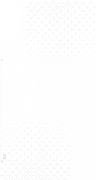 Character info left deco.png