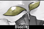 Budding.png