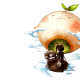 Beyond The Stratus.png