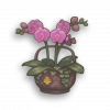 Orchid-gameItem.png