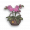 Orchid-gameItem.png