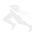 P4 icon2 2.png