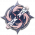 刻印图标 缄默的命书.png