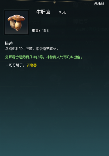 文件:牛肝菌.png