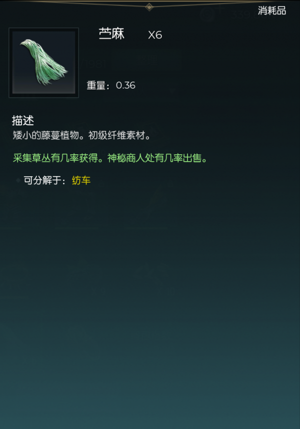 苎麻.png