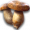 蘑菇.png