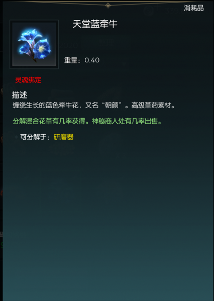 文件:天堂蓝牵牛.png