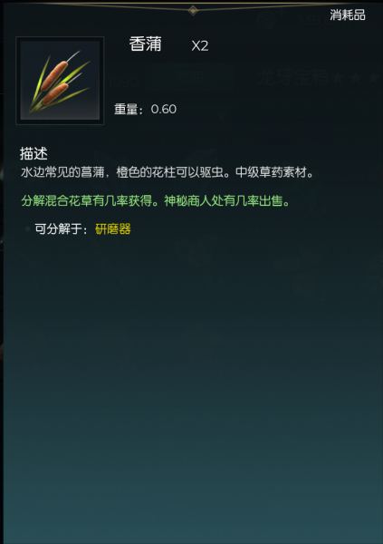 文件:香蒲.png