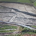 古代的水田遗迹.jpg
