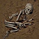 古代人的骨头.jpg