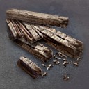 古代的黎巴嫩杉树.jpg