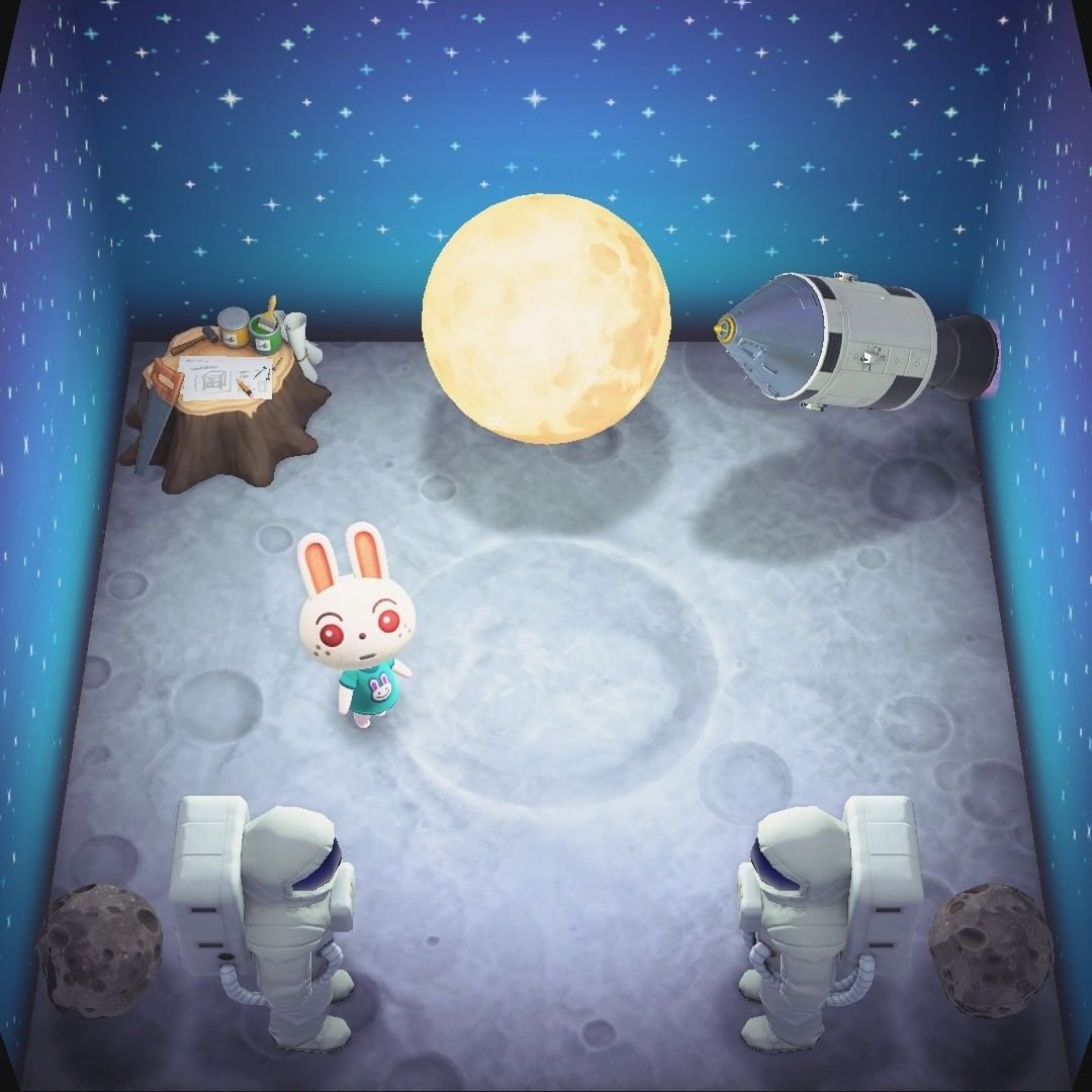 月兔的家装.jpg