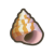 Shell6.png