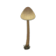 FtrMushroomLamp Remake 0 0.png