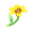 FlwYuriYellow.png