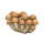 蘑菇屏风
