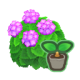 SeedHydrangeaPink.png